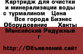 Картридж для очистки и минерализации воды с турмалином › Цена ­ 1 000 - Все города Бизнес » Оборудование   . Ханты-Мансийский,Радужный г.